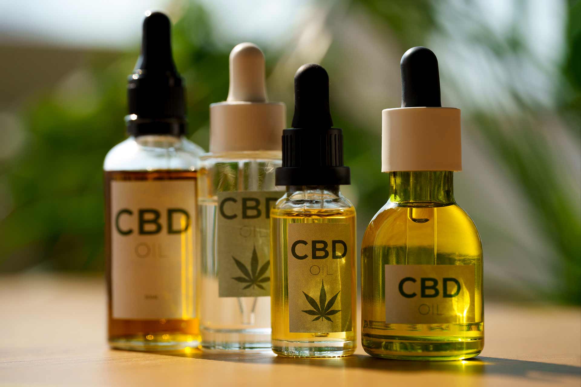 Premium Cannabis Cultivation Project