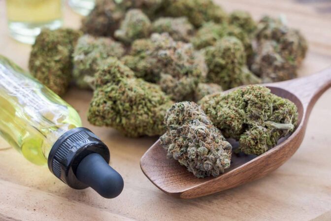 Botanical Cannabis Research Initiative